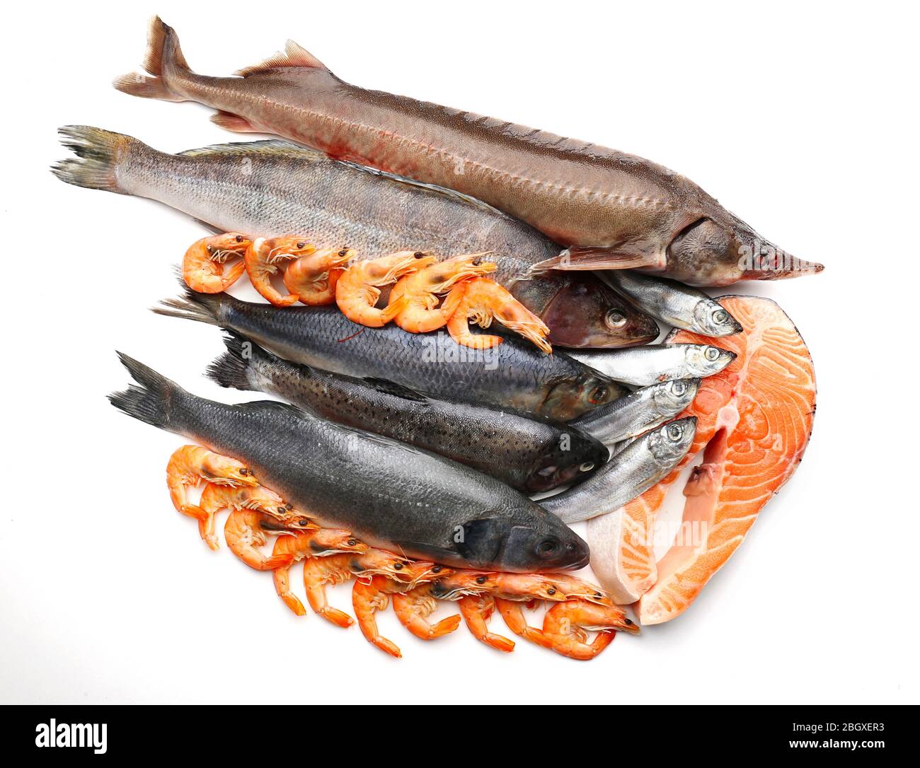 Fresh catch of fish and other seafood isolated on white Stock Photo - Alamy