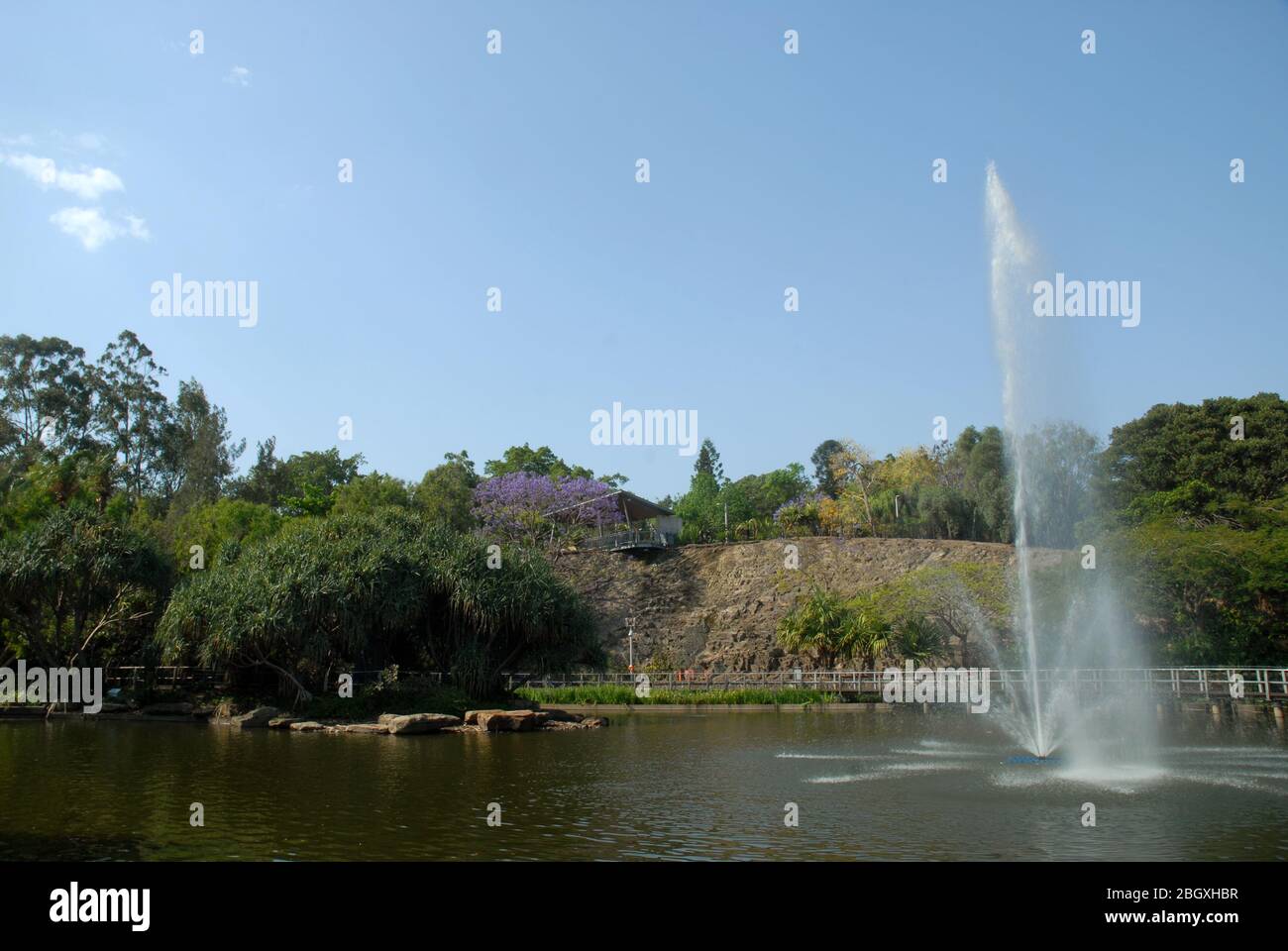 Fountain in Roma Street Parkland, Brisbane, Queensland, Australia Stock Photo Alamy