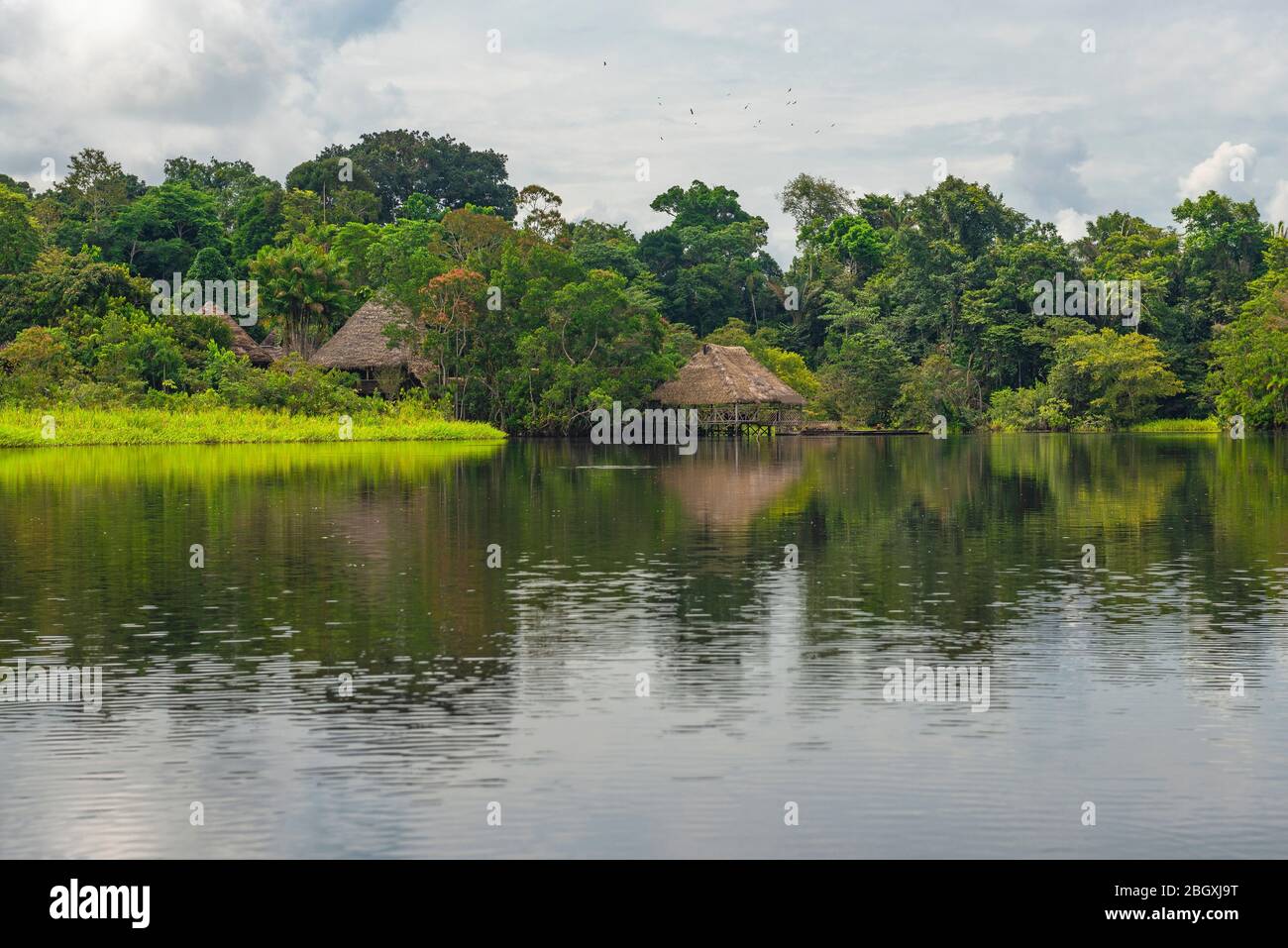 Amazon Rainforest Lodge Reflection. The Amazon Region comprise Suriname, Guyana, French Guyana, Venezuela, Colombia, Ecuador, Peru, Bolivia and Brazil. Stock Photo