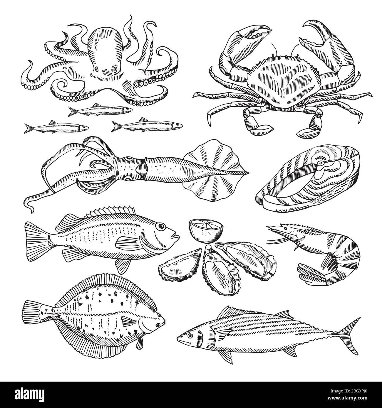 Hand drawing vector illustrations of sea food for restaurant menu
