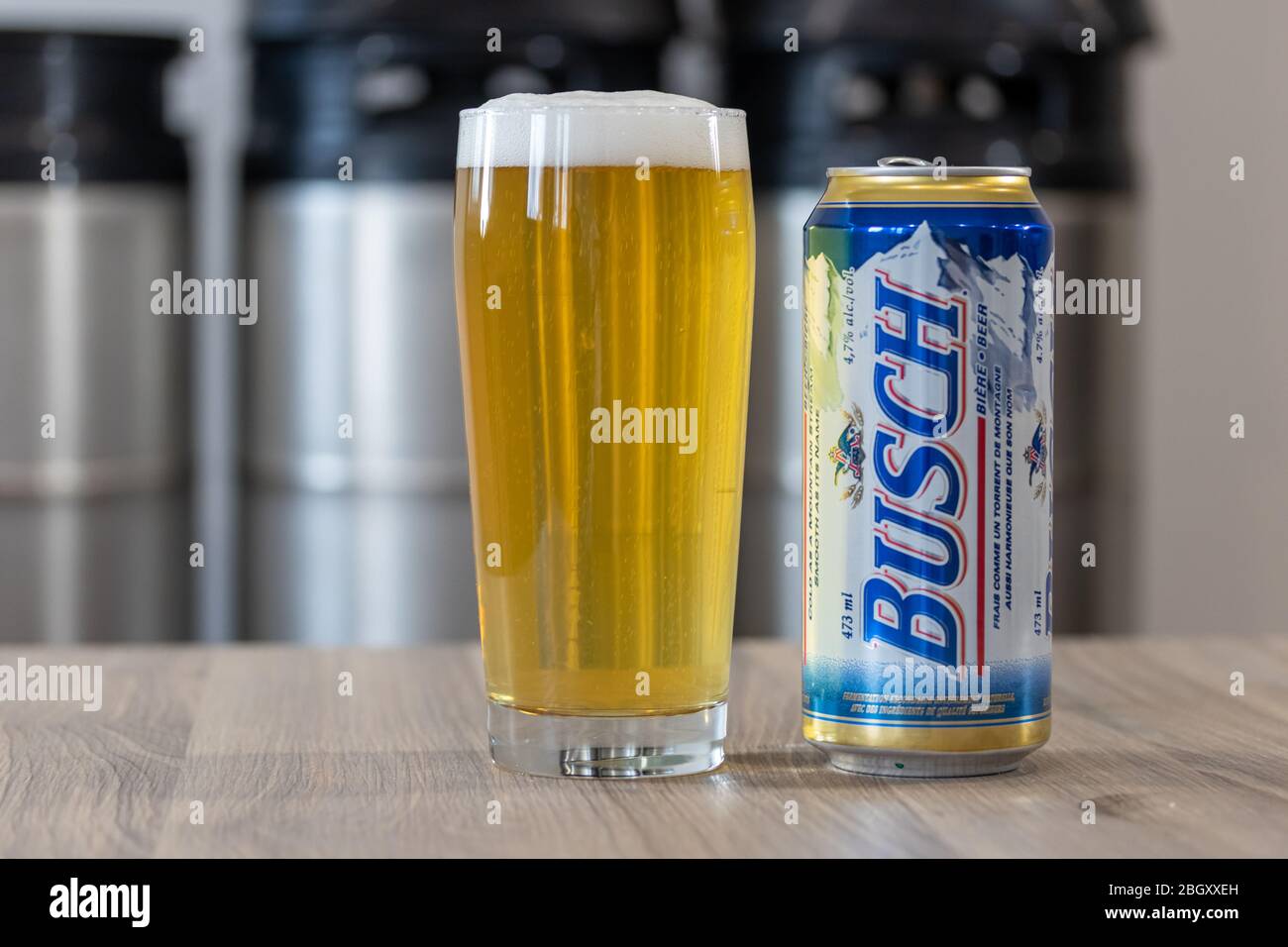 Busch Beer, classic can on a table beside a full glass of beer with stacked kegs in the background. Stock Photo