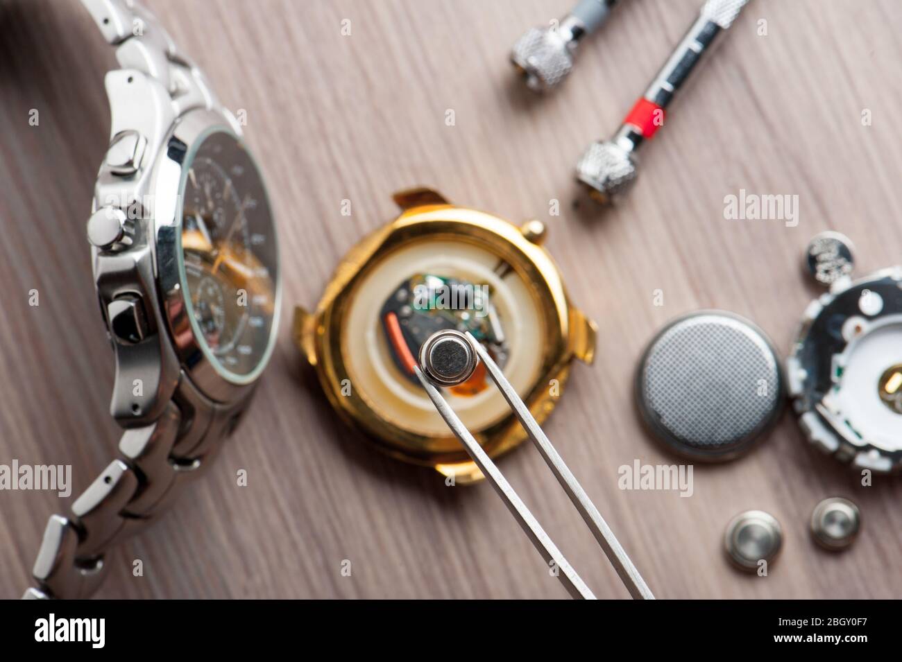 watch battery replacement, watchmaker replacing watch battery on quartz  watch Stock Photo - Alamy
