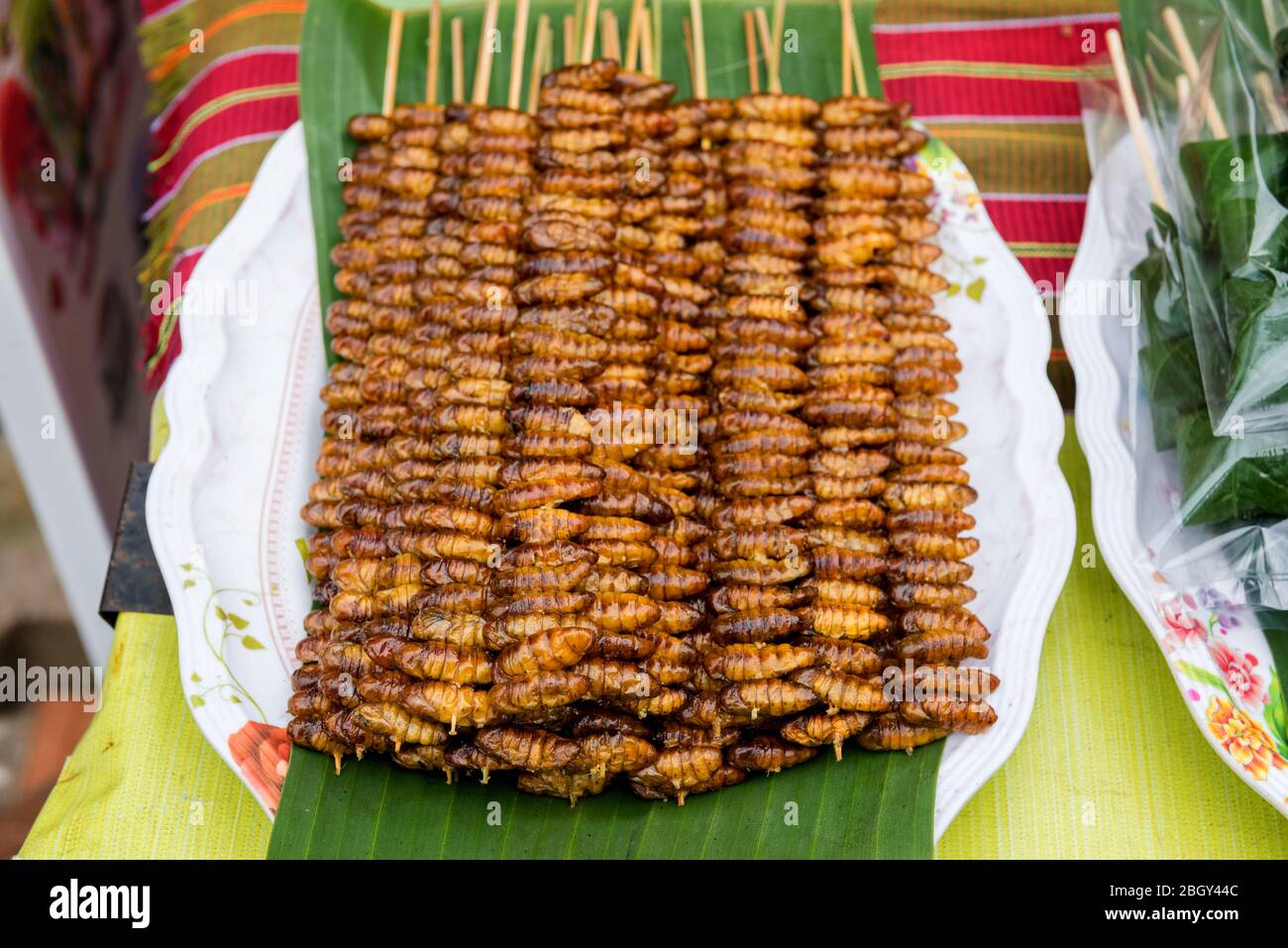 a lot of fried silkworm pupa sticks sell in street market in Thailand. Insects are high protein foods. Stock Photo