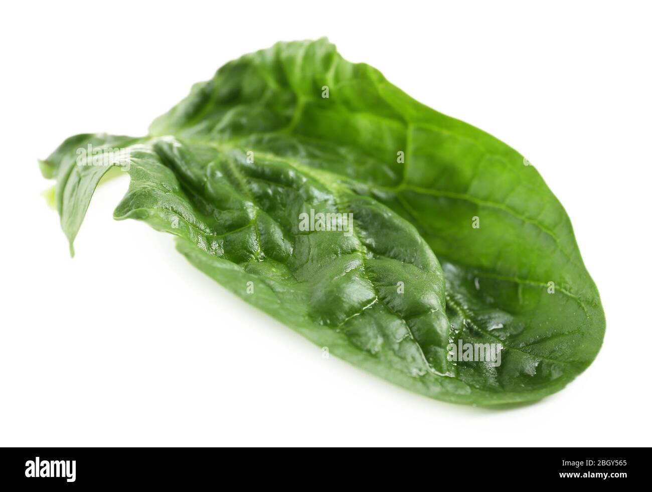 Spinach leaf isolated on white Stock Photo Alamy
