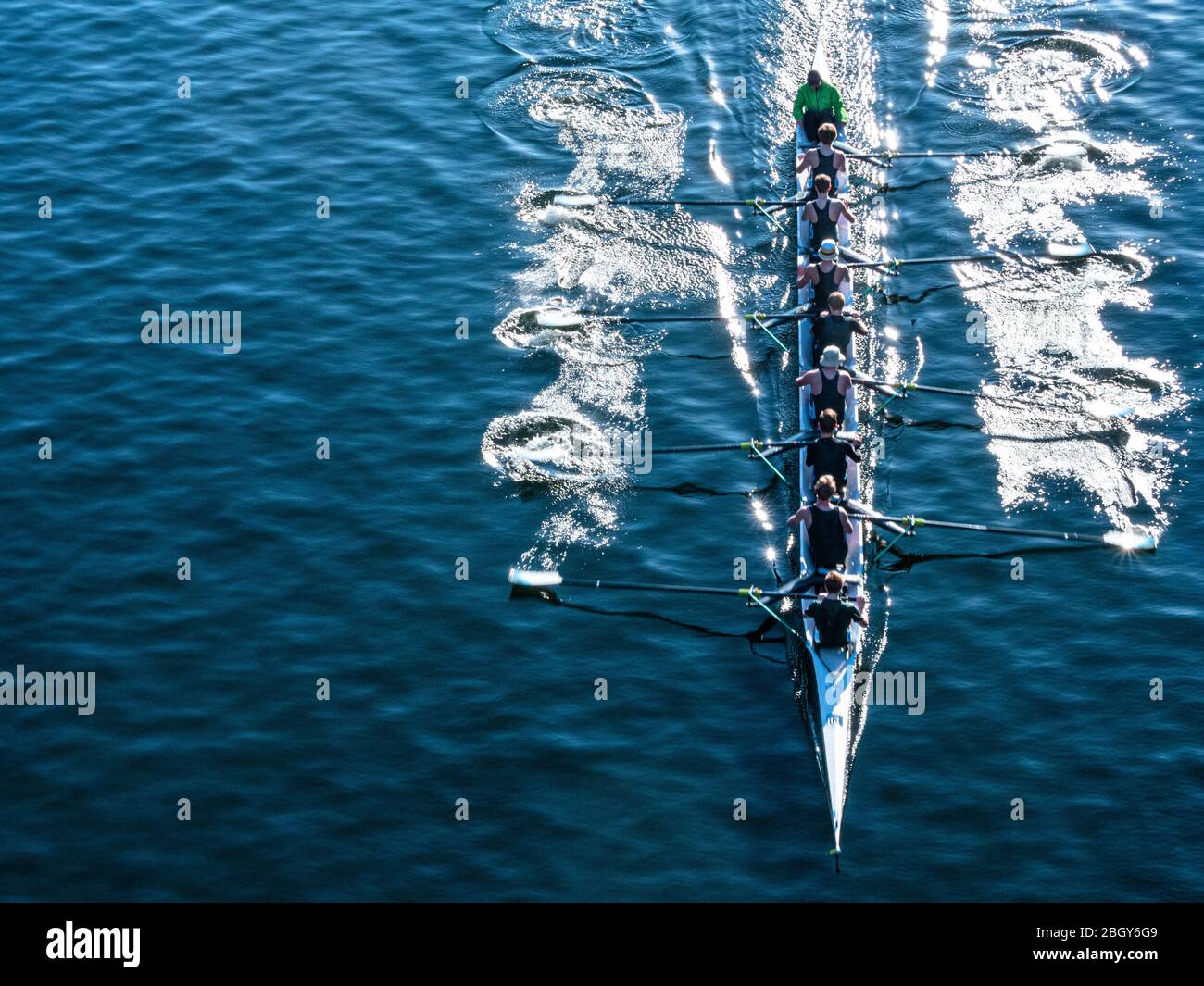 Rowing competition at Montlake Cut in Seattle Washington Stock Photo Alamy