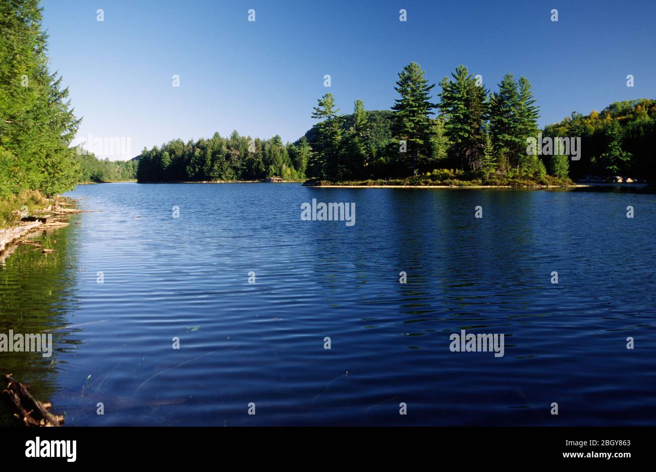 Middle Lake, Wilcox Lake Wild Forest, Adirondack Forest Preserve, New