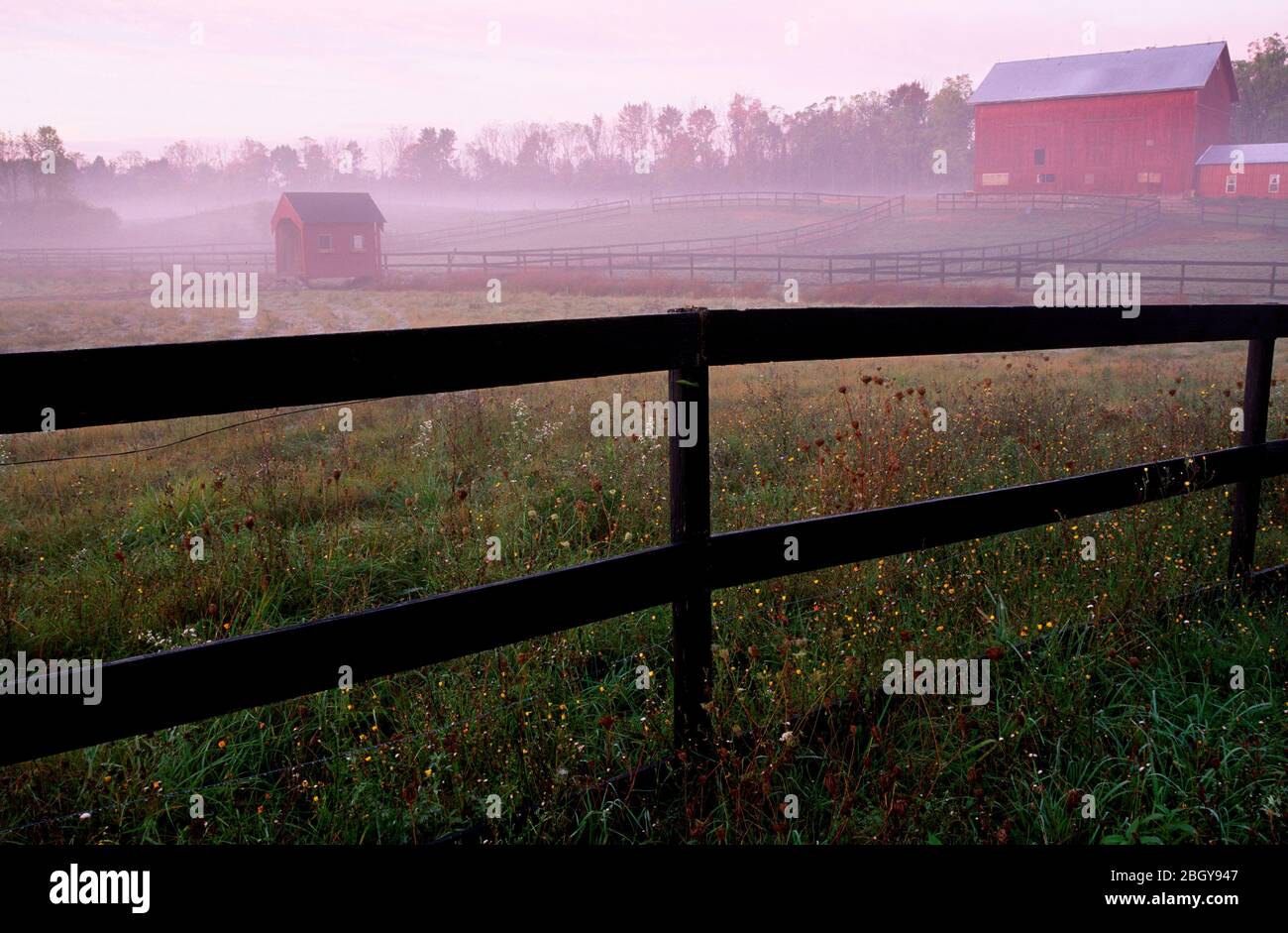 Farm fence, Cayuga County, New York Stock Photo