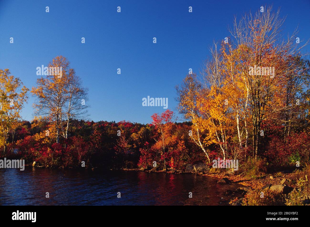 Tupper Lake, Adirondack Park, New York Stock Photo Alamy