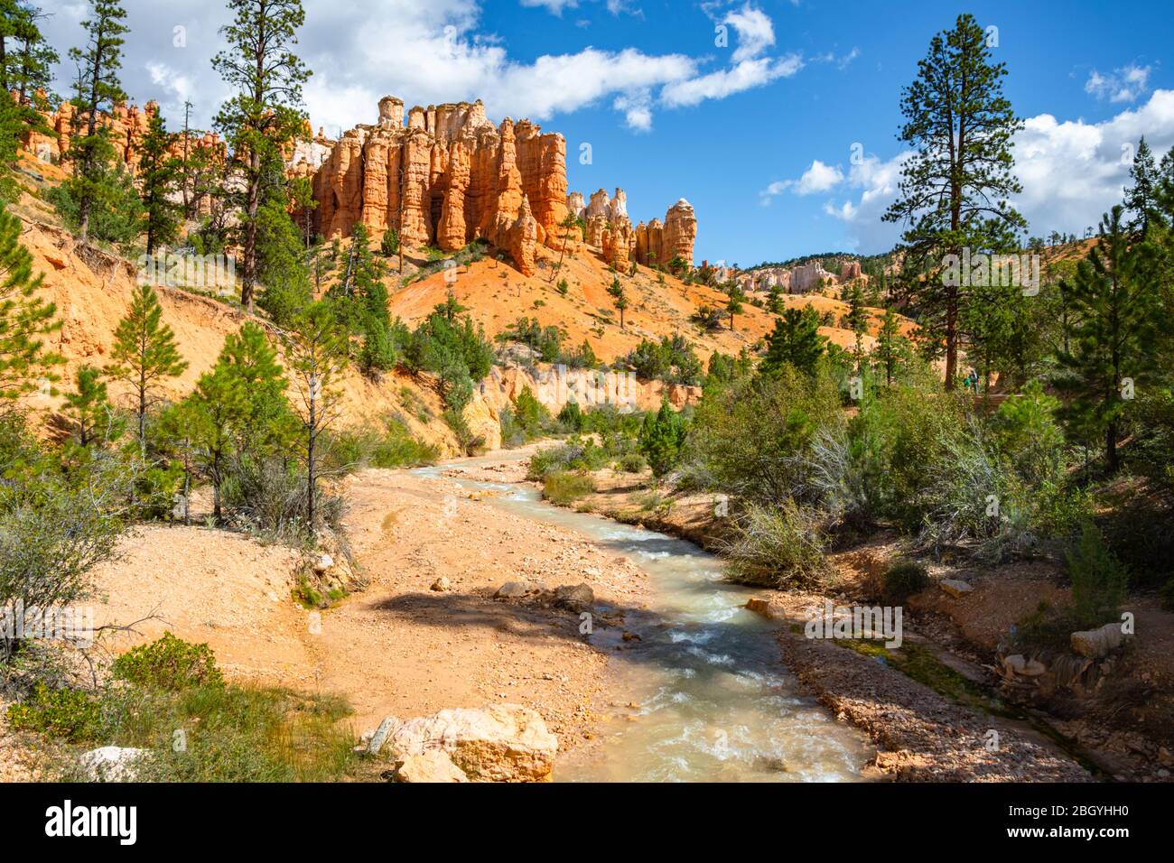 Bryce Canyon National Park Red Sandstone Cliffs & Stream Stock Photo