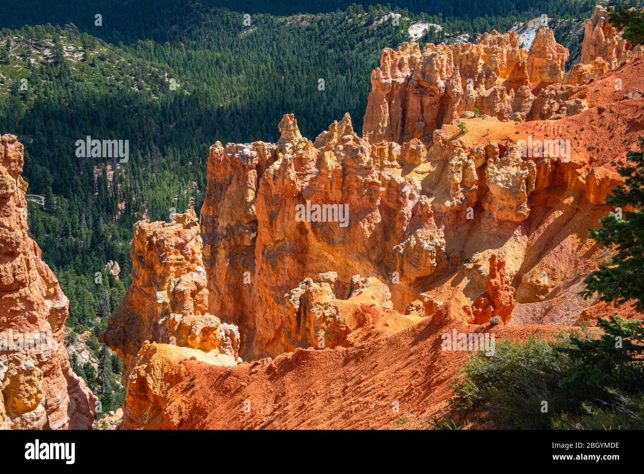 Red Sandstone Cliffs and Ponderosa Forest of Bryce Canyon  National Park Stock Photo