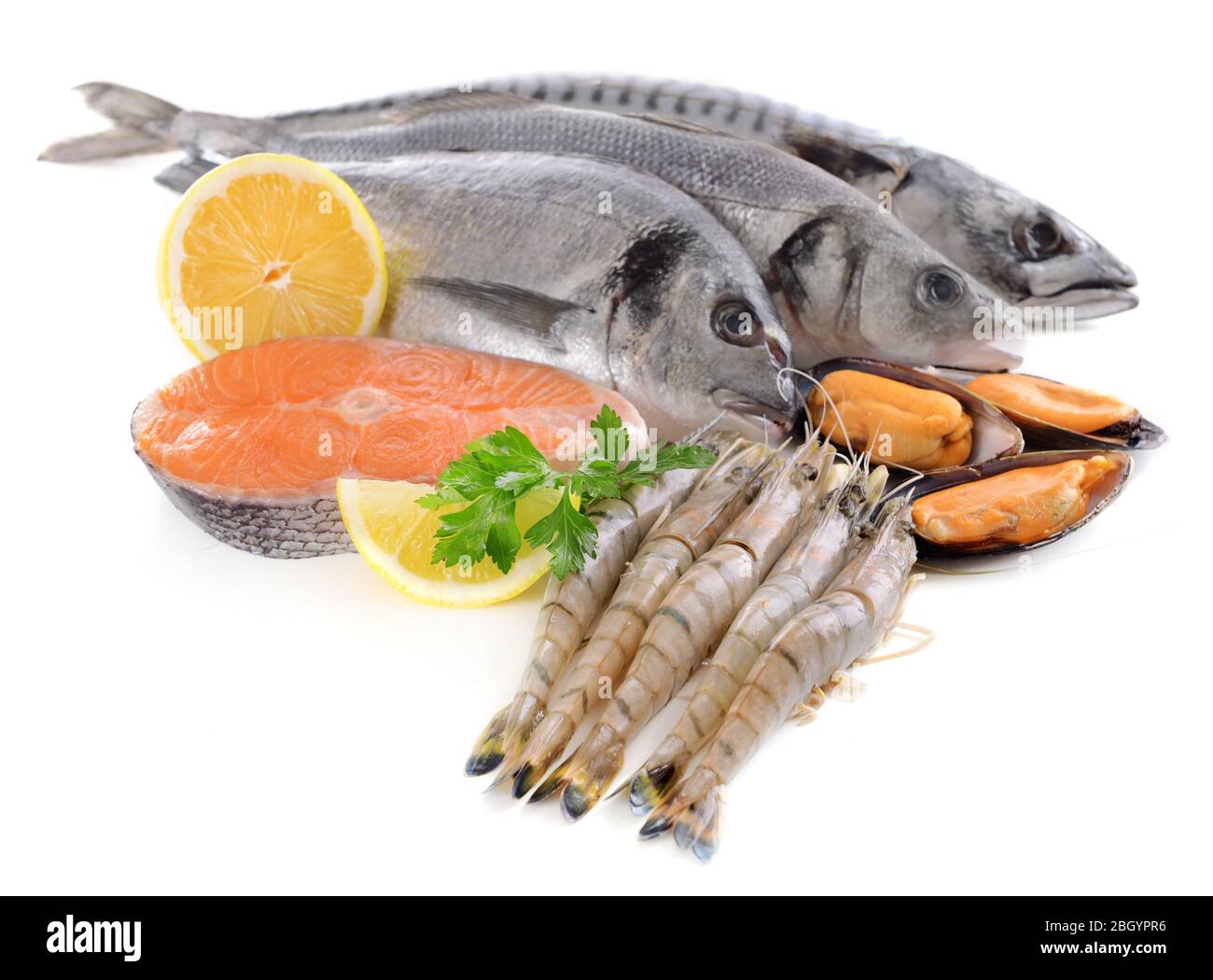 Fresh fish and other seafood isolated on white Stock Photo Alamy