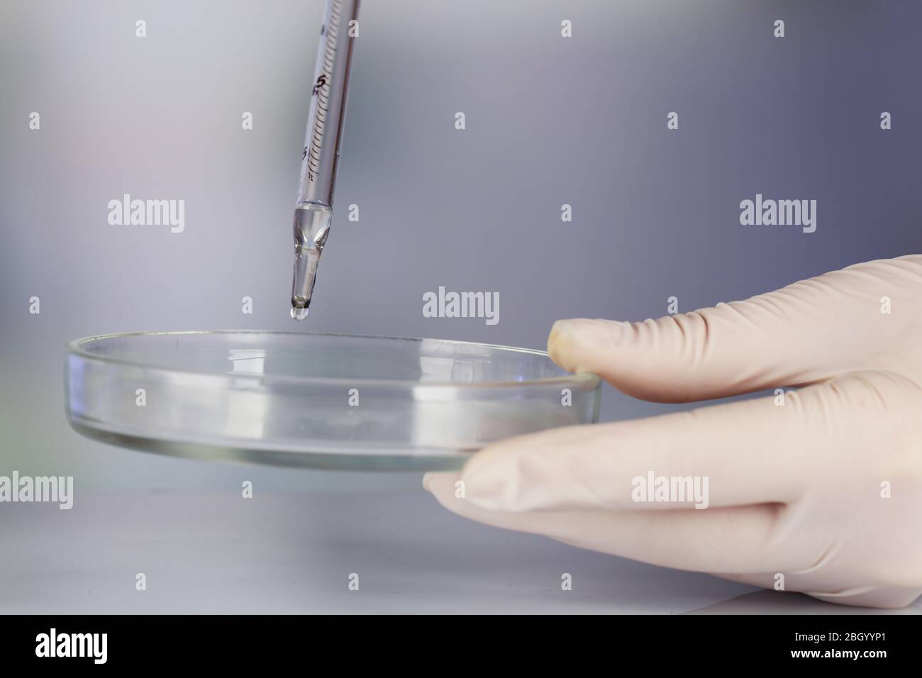 Hand of assistant with liquid in glassware during experiment in ...