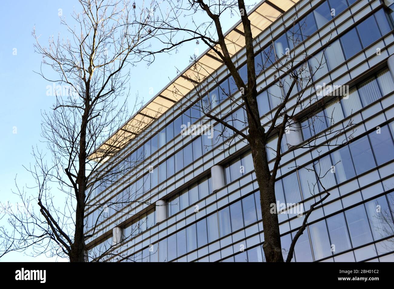 Modern office building - facade Stock Photo - Alamy