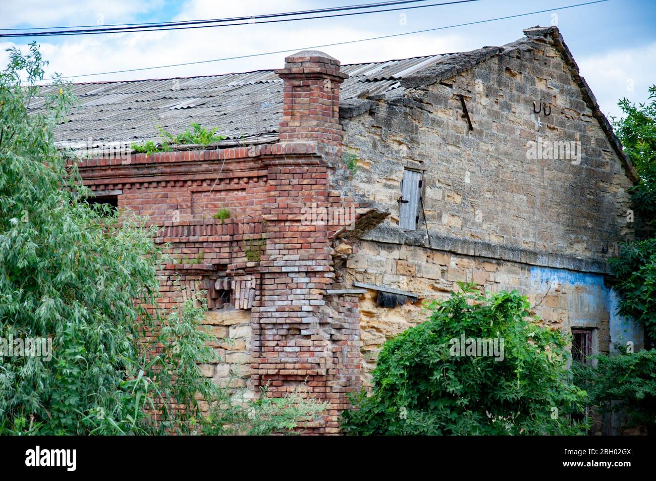 Abandoned house with dilapidated brick walls overgrown by climbing plants and trees. Texture of