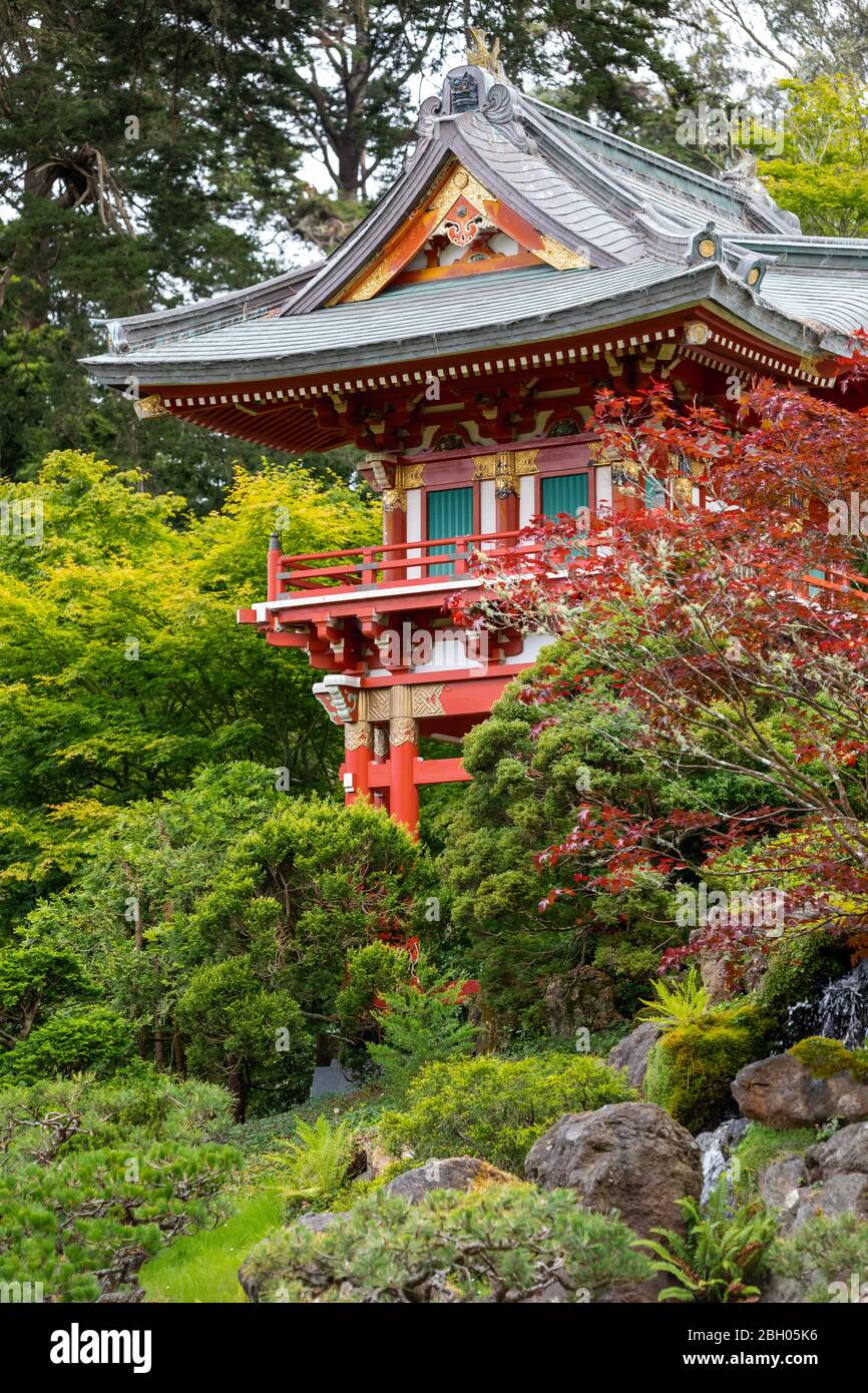 Close up of a red wooden pagoda, surrounded by green vegetation and a maple tree Stock Photo