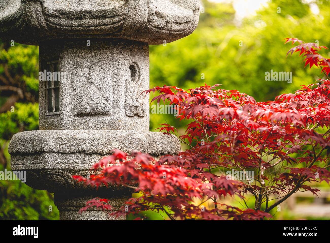 Close up of a stone japanese votive lantern, surrounded by blooming flowers and luxuriant vegetation at the Japanese Tea Garden in San Francisco Stock Photo