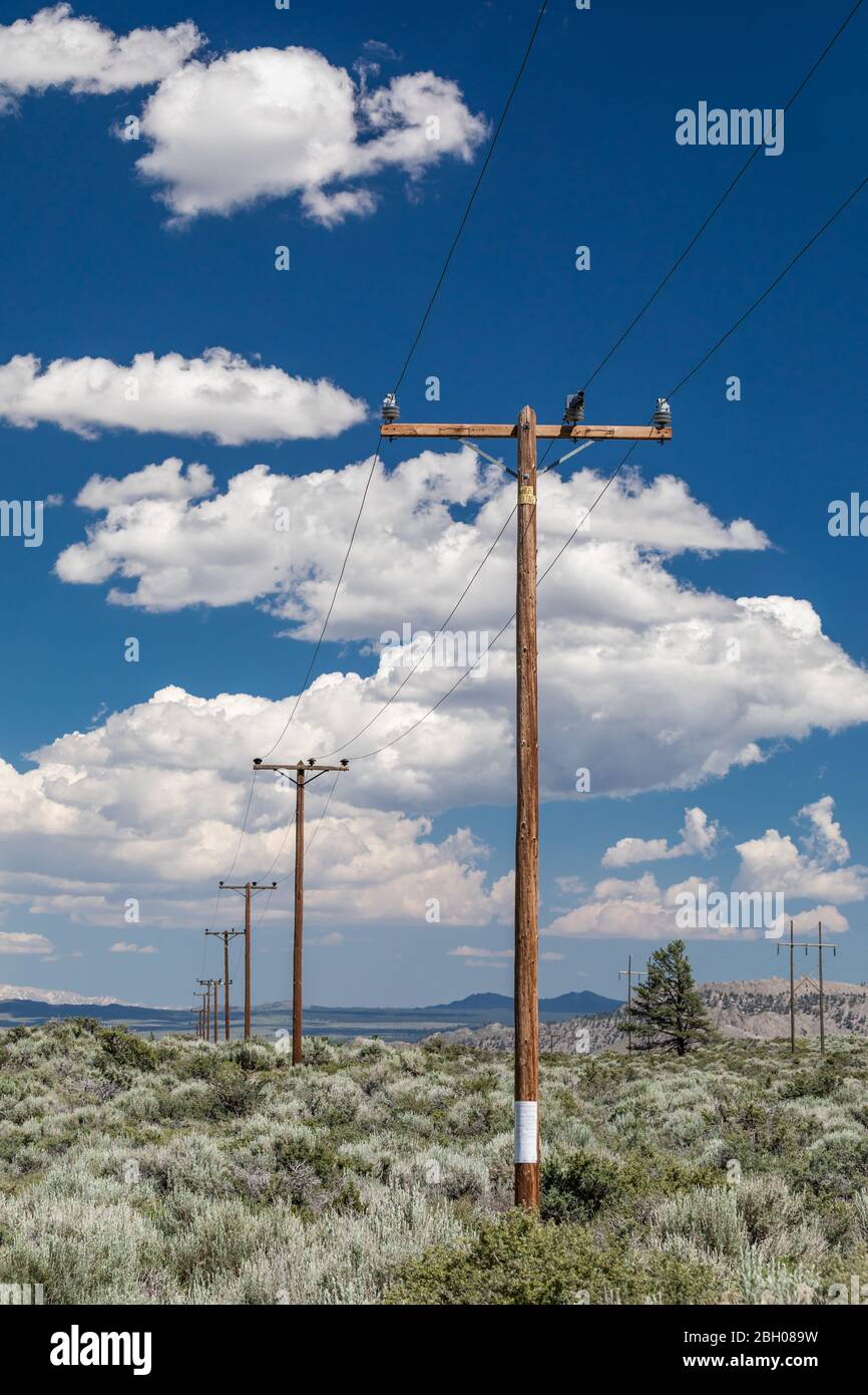 A row of wooden utility poles in the american backcountry under a blue sky with puffy clouds Stock Photo