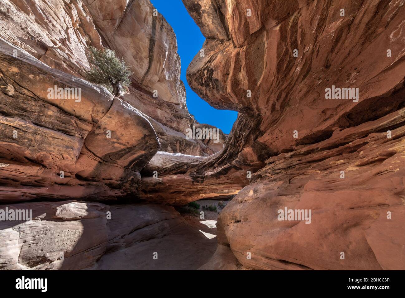 Interior of a slot canyon on the Hickman Bridge trail at Capitol Reef National Park, with its surface carved and twisted by erosion Stock Photo
