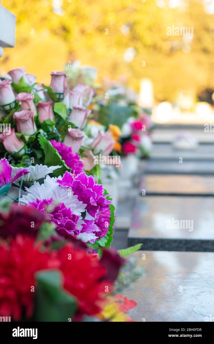 Bouqets of flowers laying on gravestones as decoration. Placed in