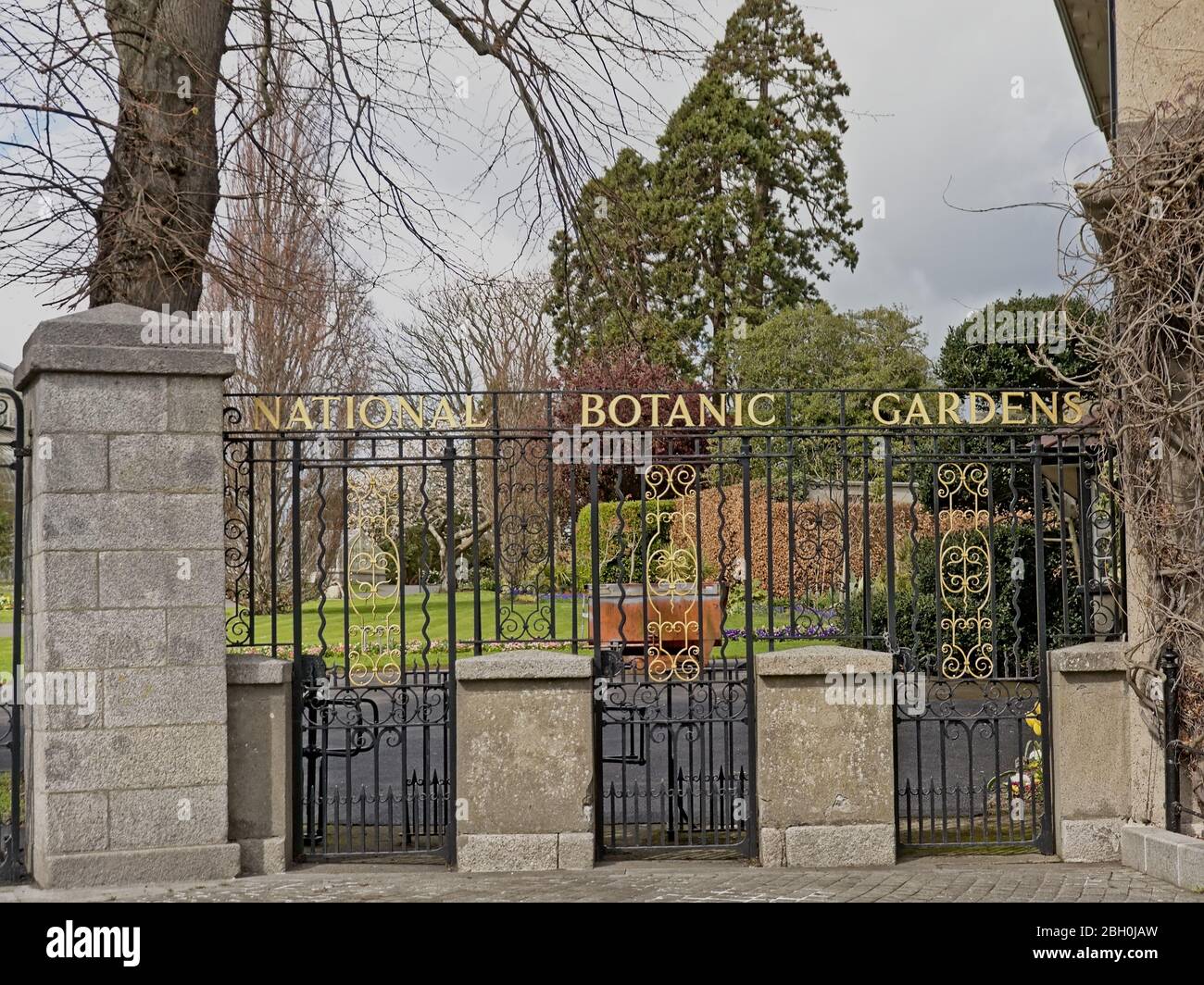 Entrance gate to Dublin botanic gardens in black and gold painted decorative ironwork, with park with trees behind Stock Photo