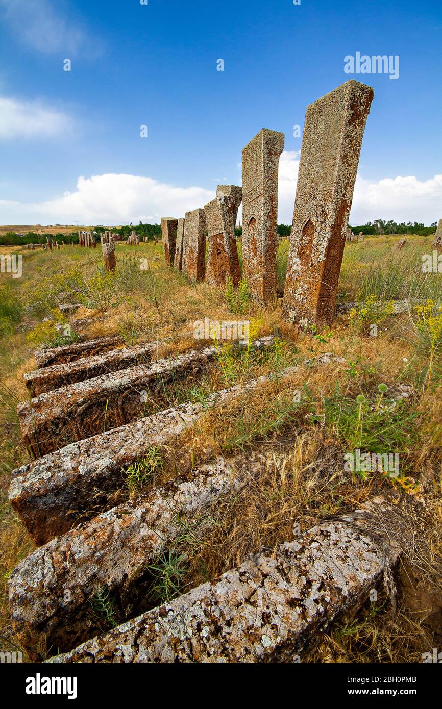 Ancient tombstones in the historical cemetery of Selcuk Turks from 12th century, in the town of Ahlat, Turkey Stock Photo