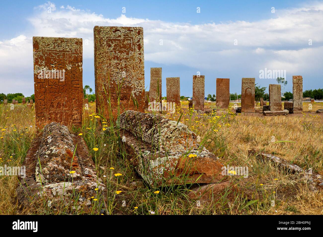 Ancient tombstones in the historical cemetery of Selcuk Turks from 12th century, in the town of Ahlat, Turkey Stock Photo