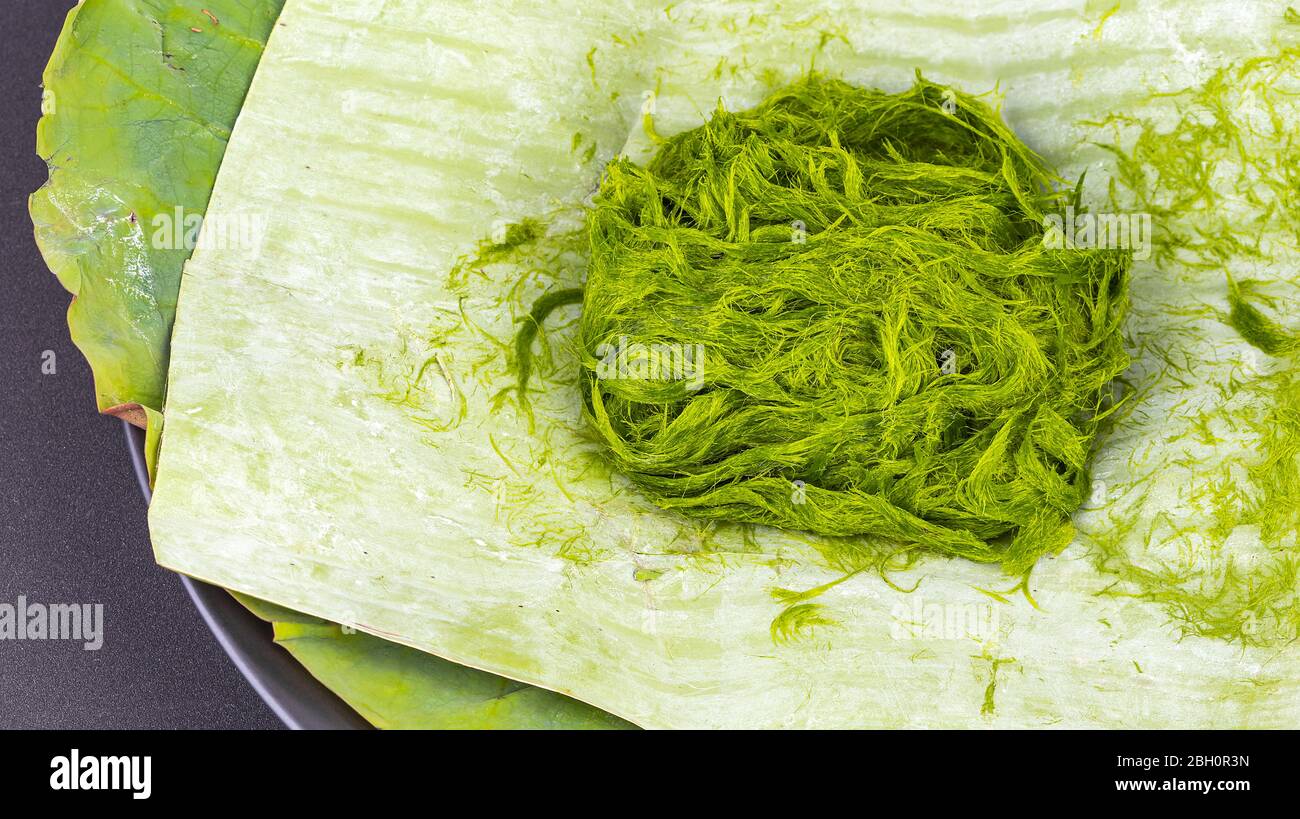 Freshwater green algae scientific name is Spirogyra sp. on banana leaf Stock Photo