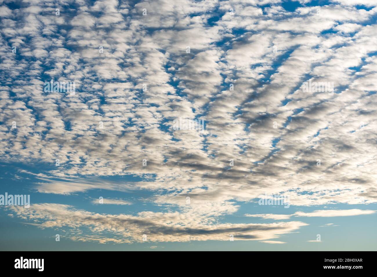Altocumulus clouds and blue sky, sunny day, Germany Stock Photo