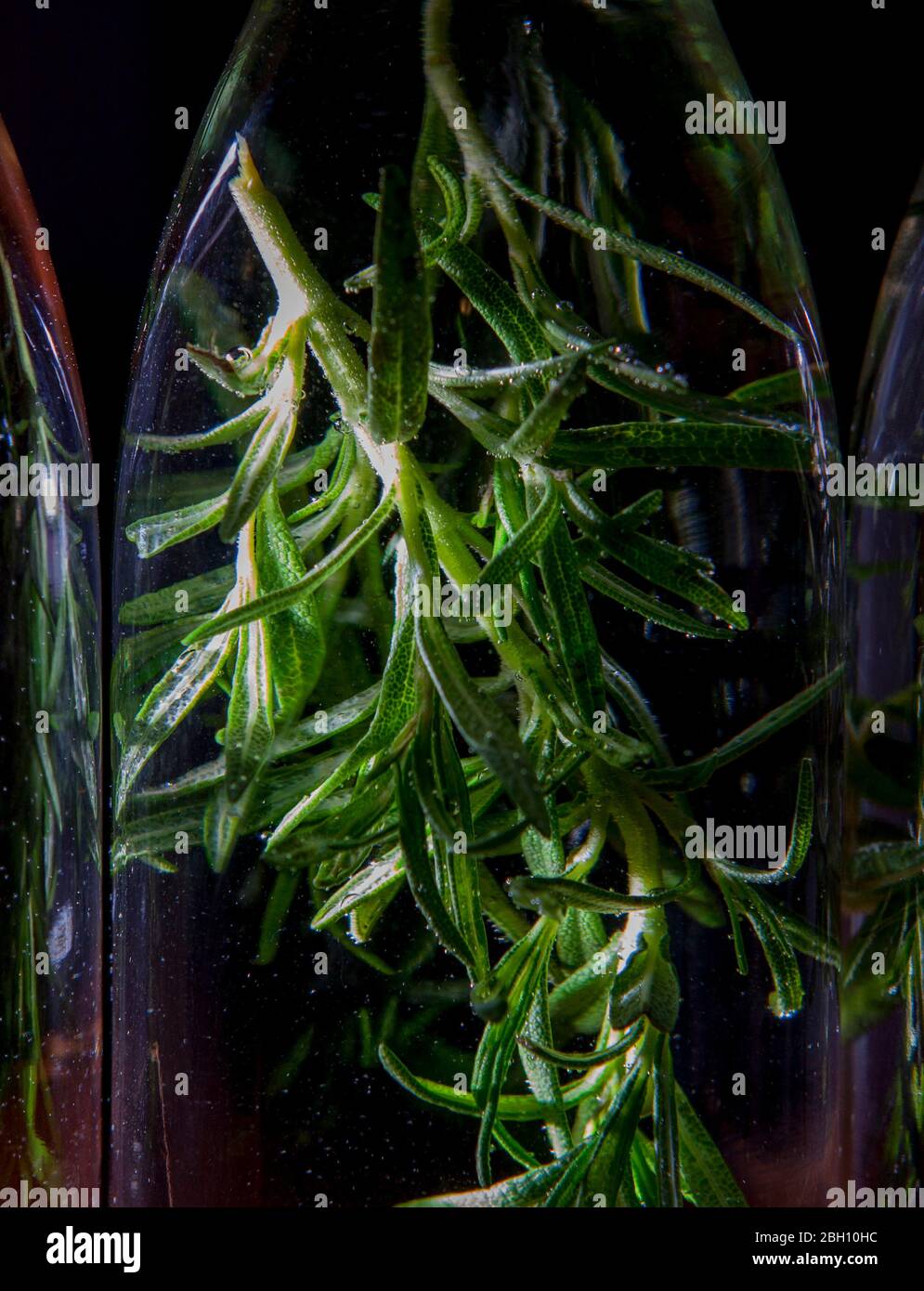 Springs of fresh rosemary sit in vodka to make homemade infused flavored vodka Stock Photo