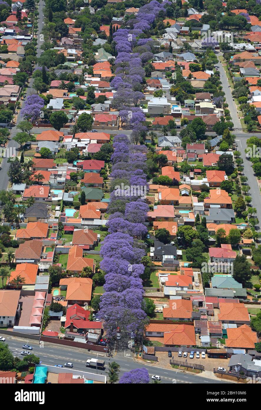 Aerial photo of jacaranda lined streets in Johannesburg Stock Photo