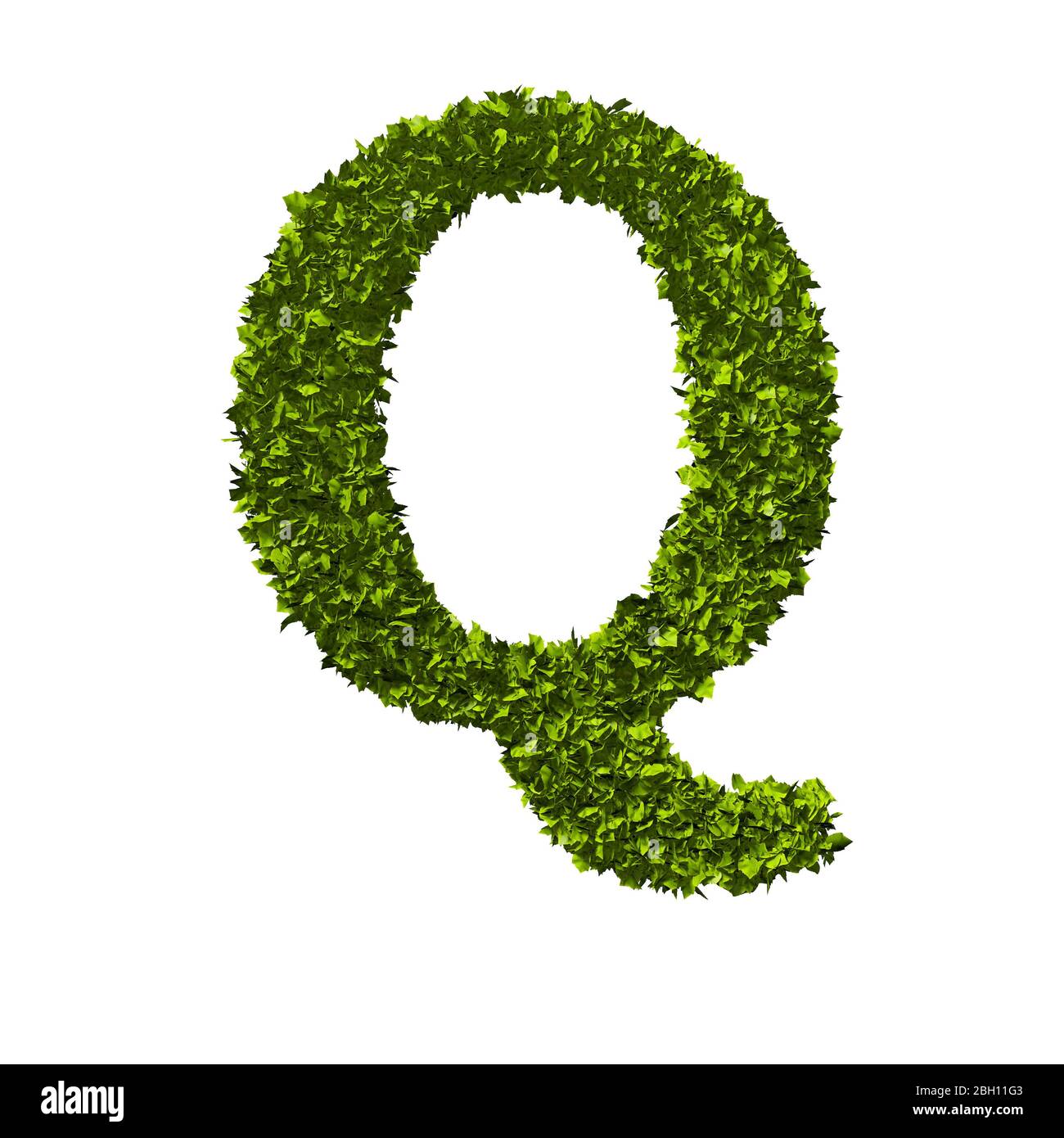 Letter Q nature leaf alphabet. 3D Rendering Stock Photo