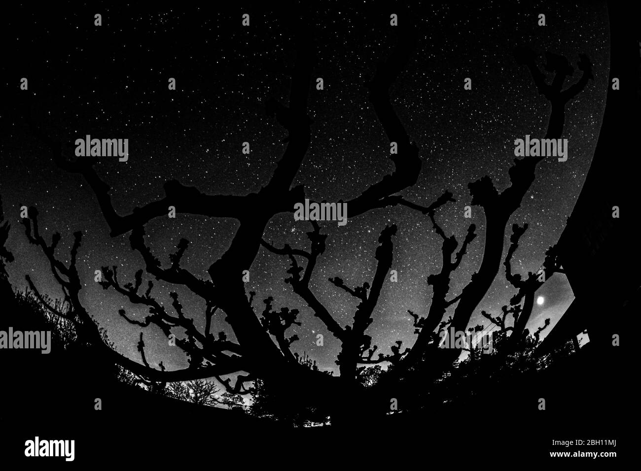 Starry night sky Black and White Stock Photos & Images - Alamy