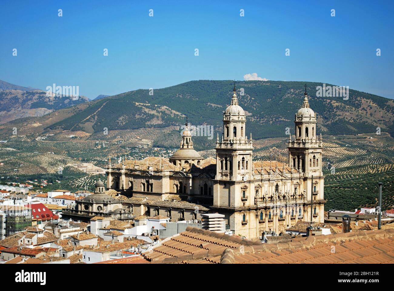 Elevated view of the Cathedral with olive groves to the rear, Jaen, Jaen Province, Andalucia, Spain, Western Europe Stock Photo