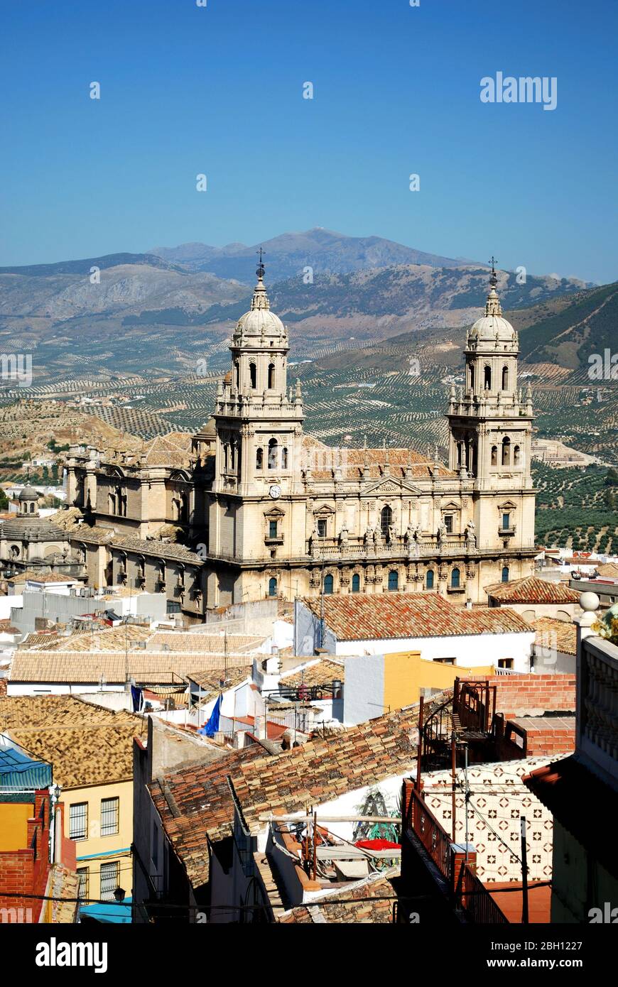 Elevated view of the Cathedral with olive groves to the rear, Jaen, Jaen Province, Andalucia, Spain, Western Europe. Stock Photo