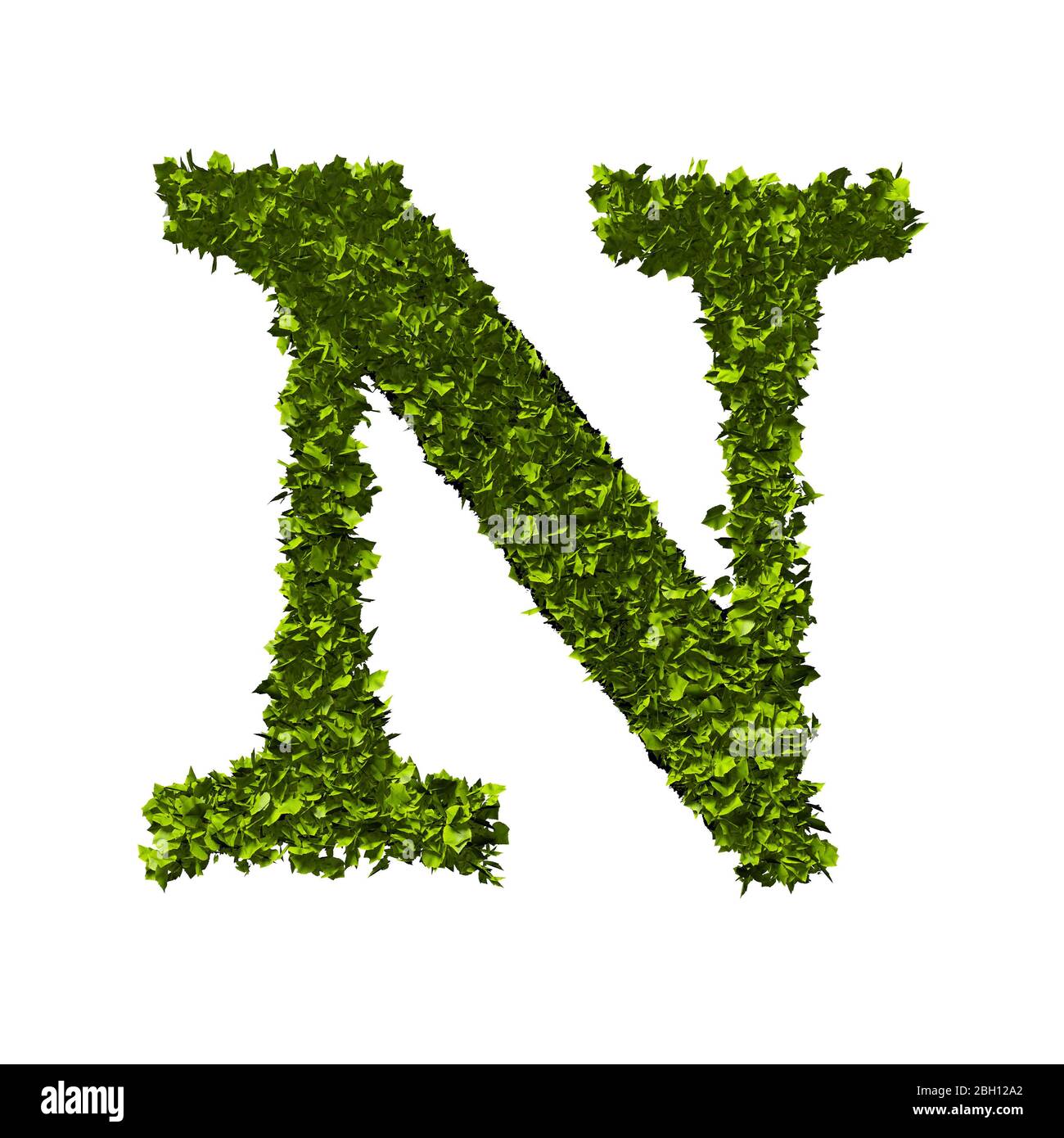Letter N nature leaf alphabet. 3D Rendering Stock Photo