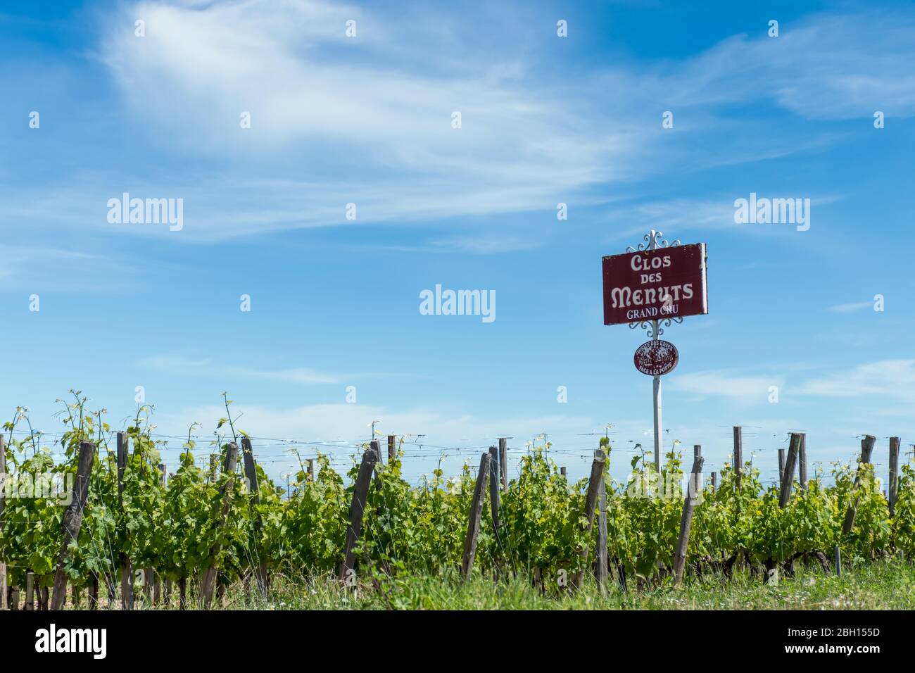 SAINT-EMILION, FRANCE - 05-31-2019: The Clos des Menuts vineyard is a grand cru from Saint Emilion, famous area well known for its great red wines. Stock Photo