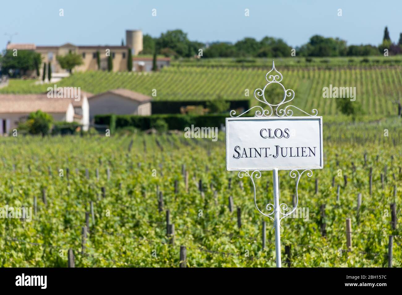 SAINT-EMILION, FRANCE - 05-31-2019: The Clos Saint-Julien vineyard is a grand cru from Saint Emilion, a famous village near Bordeaux Stock Photo
