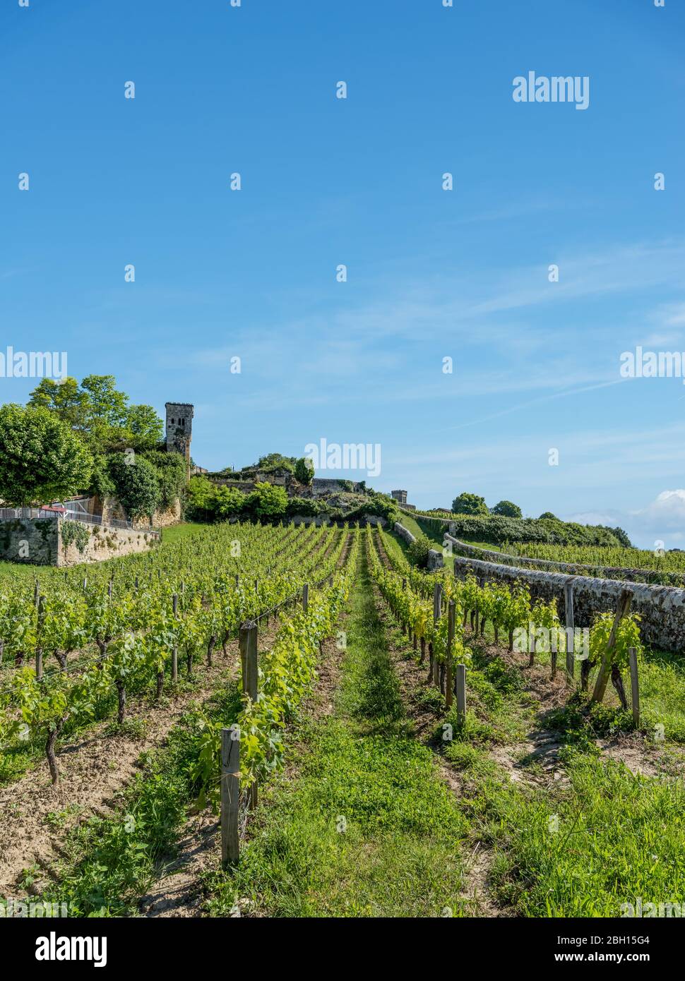 The vineyards of Saint-Emilion, near Bordeaux in France Stock Photo