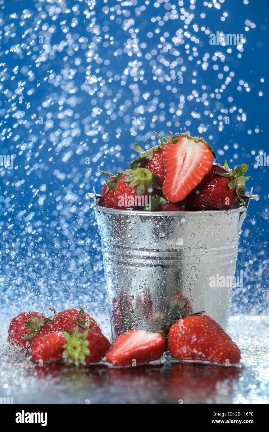Red strawberries in a metal bucket closeup in a light blue background ...