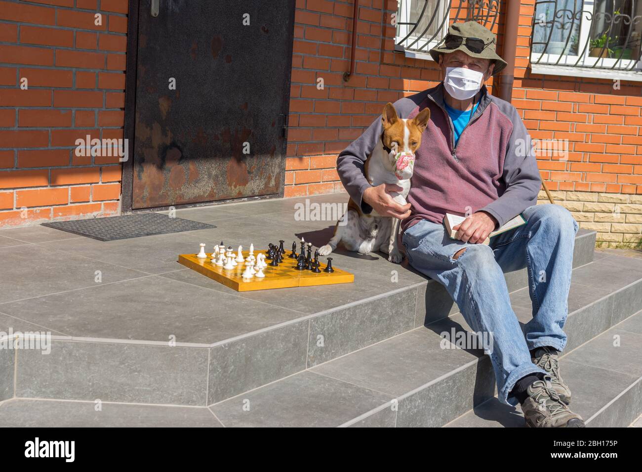 Caucasian senior man with basenji male dog wearing masks sitting on a  threshold, reading book and playing chess while being on Coronavirus COVID-19 q Stock Photo