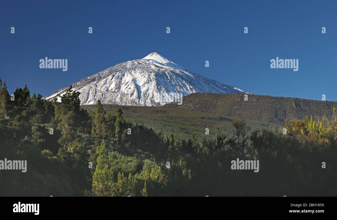 snow-capped Pico del Teide, Canary Islands, Tenerife, Teide National Park Stock Photo