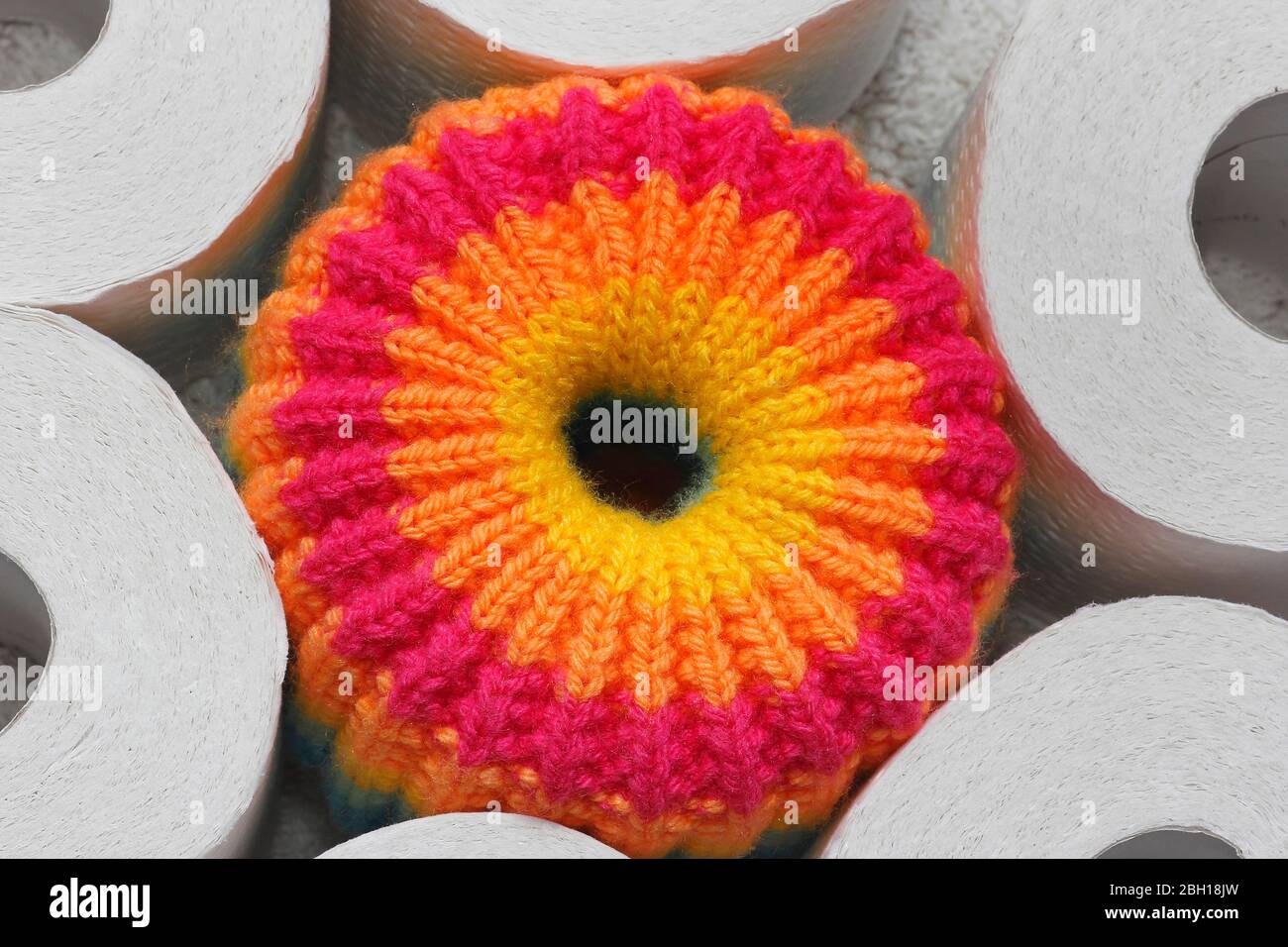 knitted toilet paper hat, Germany Stock Photo