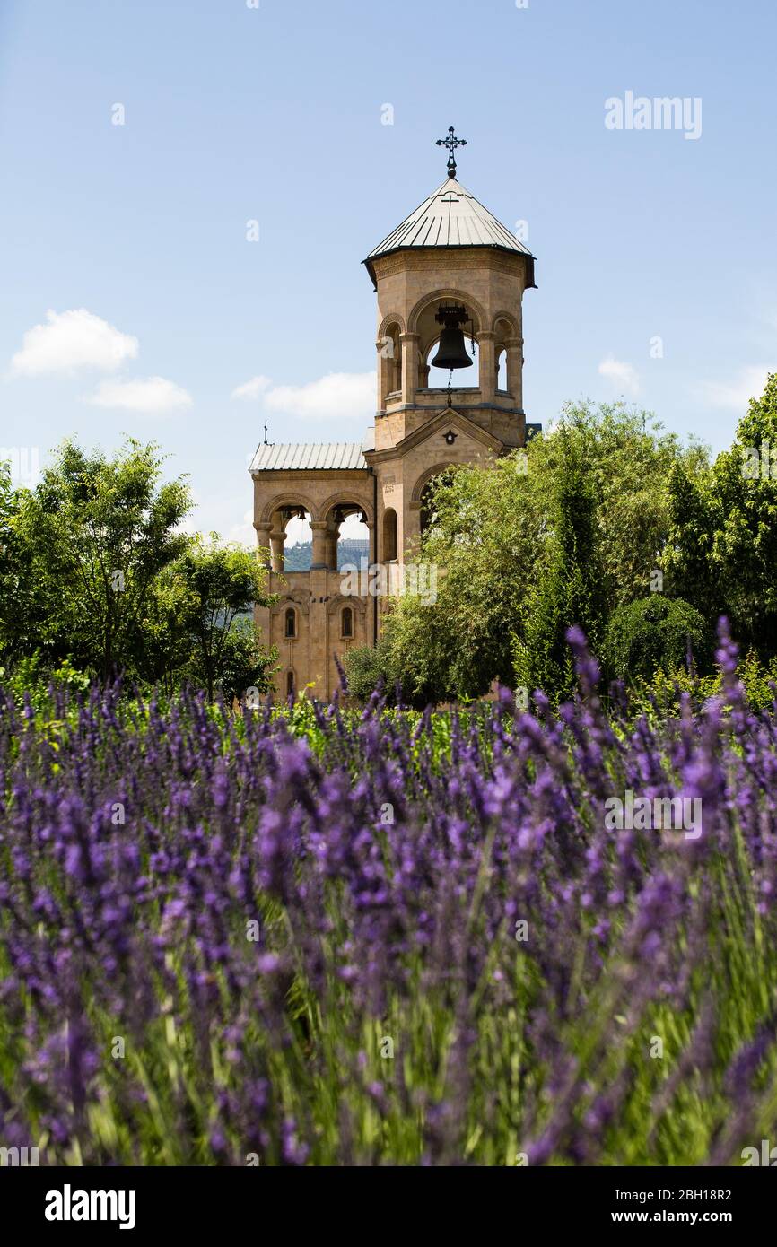 Bell Tower of the Tbilisi Holy Trinity Cathedral and flower gardens of ...