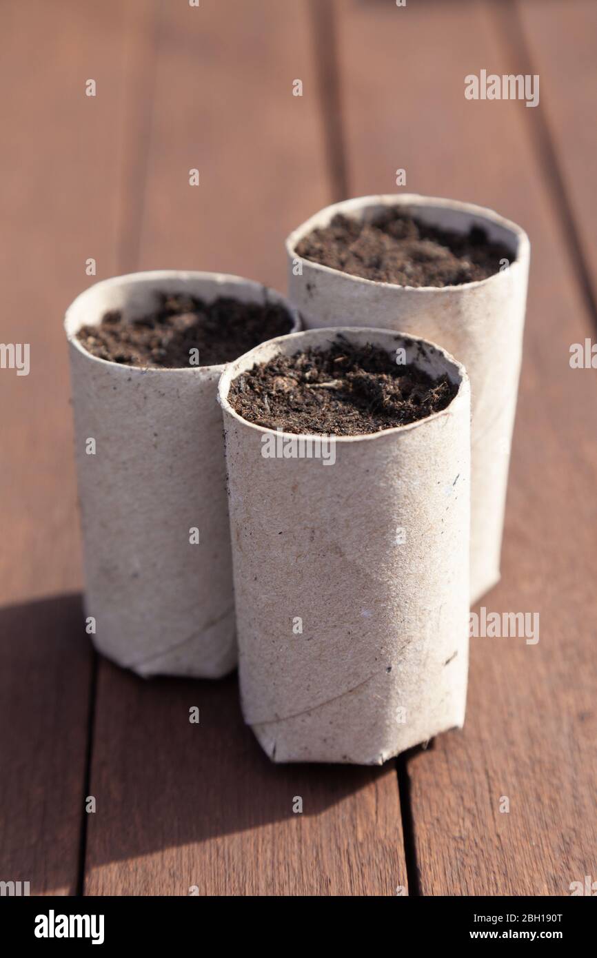 Cardboard toilet roll holders hires stock photography and images Alamy