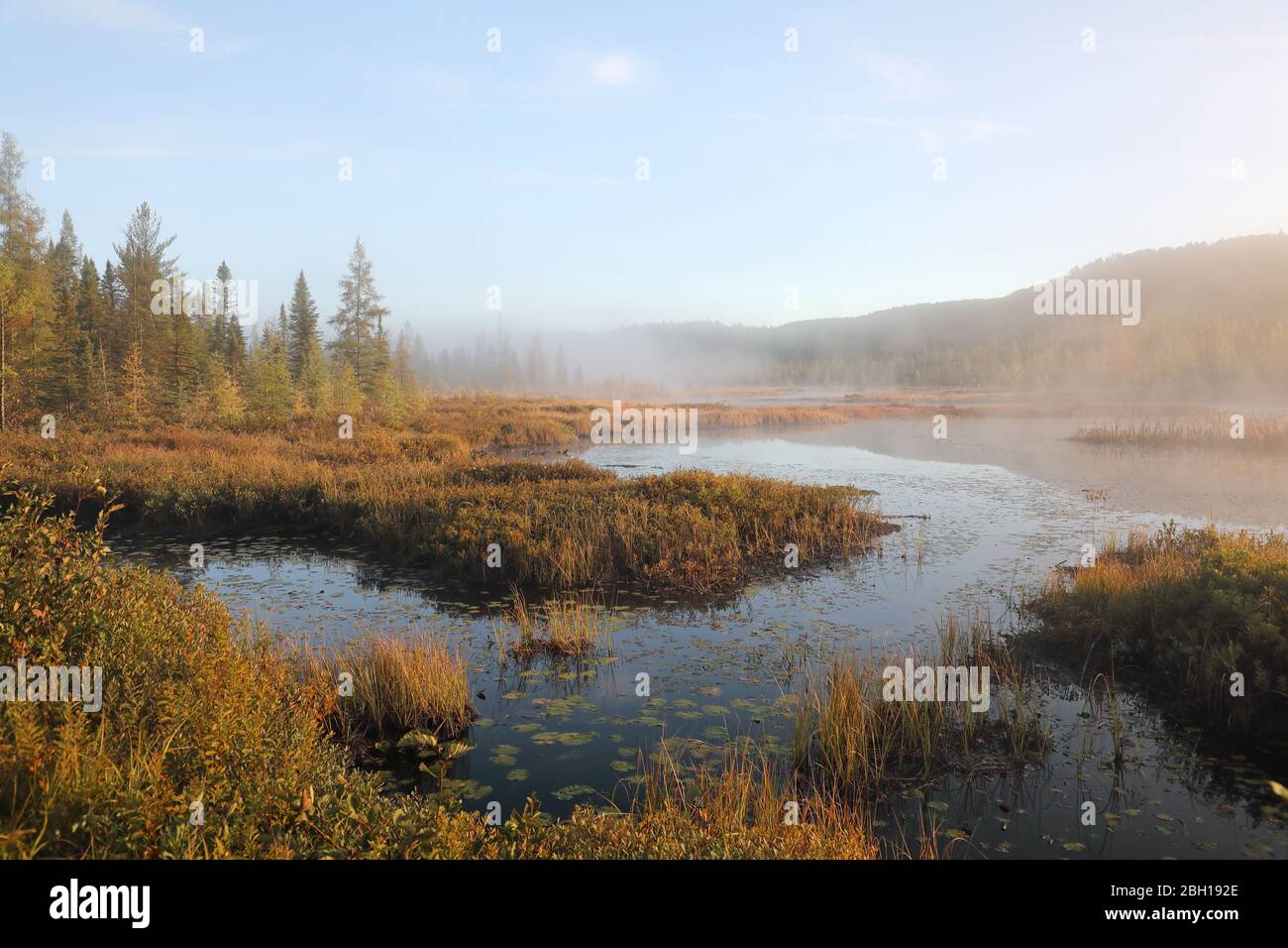 morning mist at Costello Creek near Opeongo Road, Canada, Ontario, Algonquin Provincial Park Stock Photo