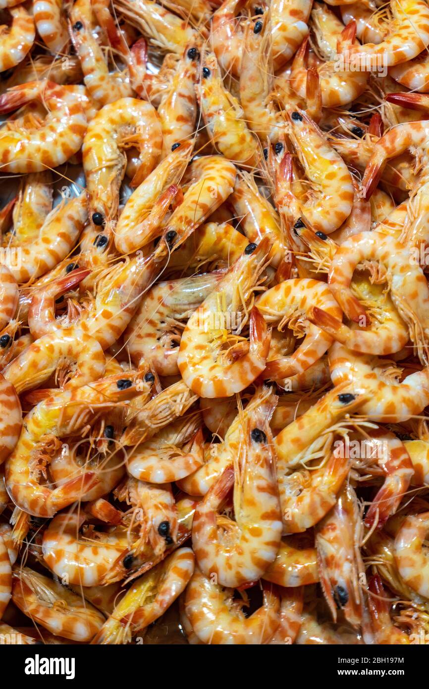 shrimps on a stand at the fish market in a market hall, Spain, Andalusia, Cadiz Stock Photo