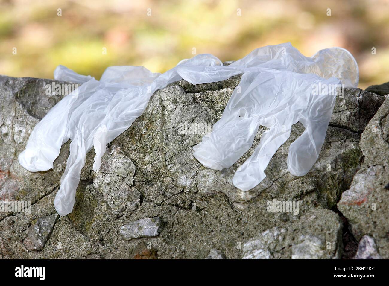 disposable gloves on a wall, Germany Stock Photo