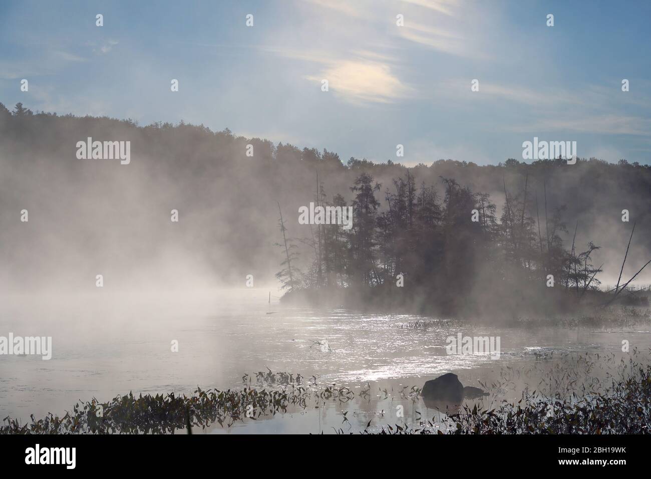 morning mist at  Lake Opeongo, Canada, Ontario, Algonquin Provincial Park Stock Photo