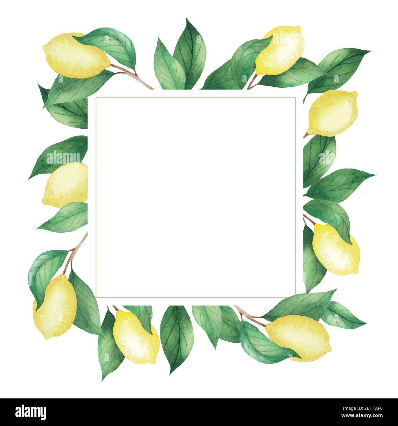 Watercolor square frame of lemons and green branches, leaves. Isolated ...