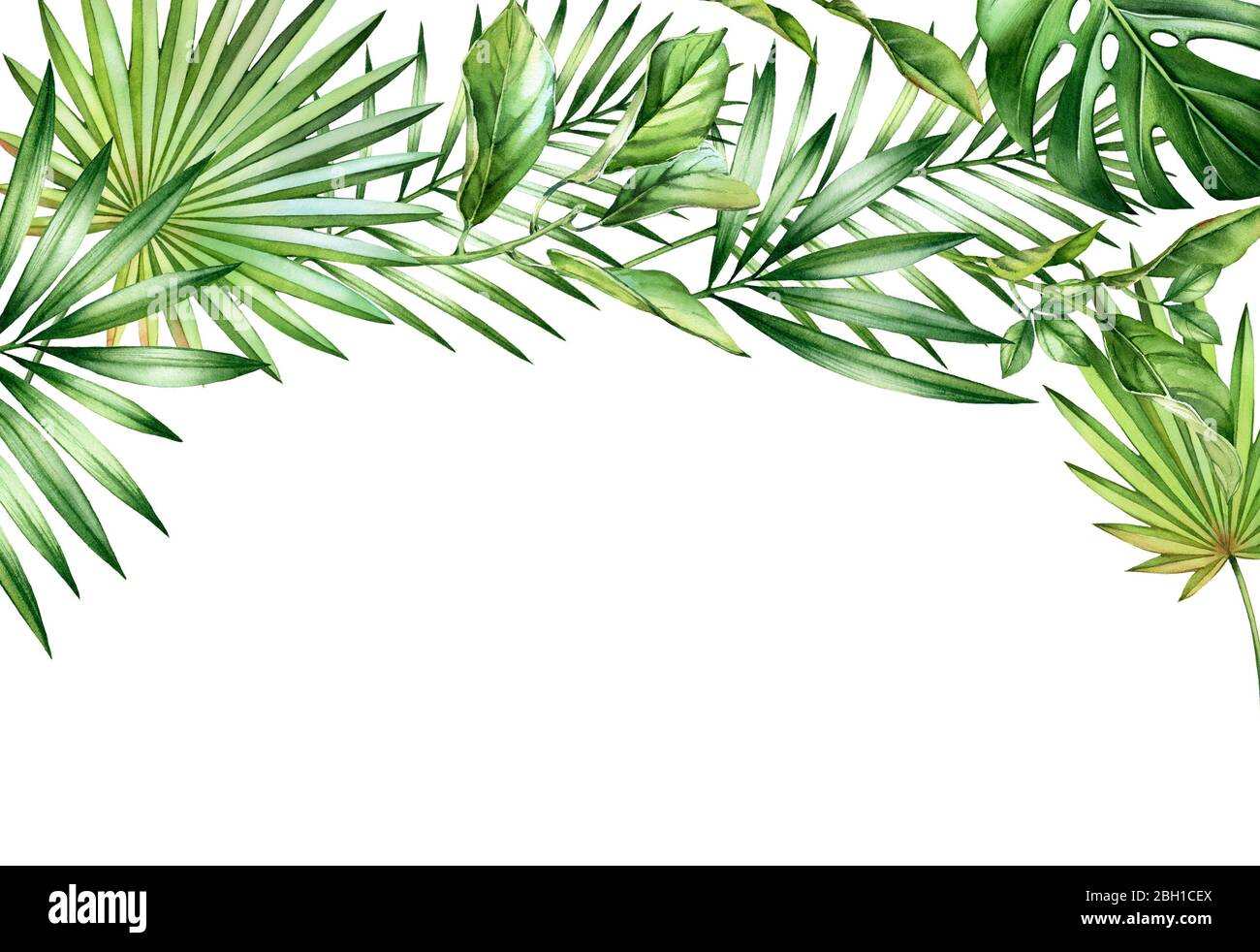 Watercolor tropical background. Arch with palm and monstera leaves, place for text. Hand painted horizontal A5 card template. Realistic botanical Stock Photo